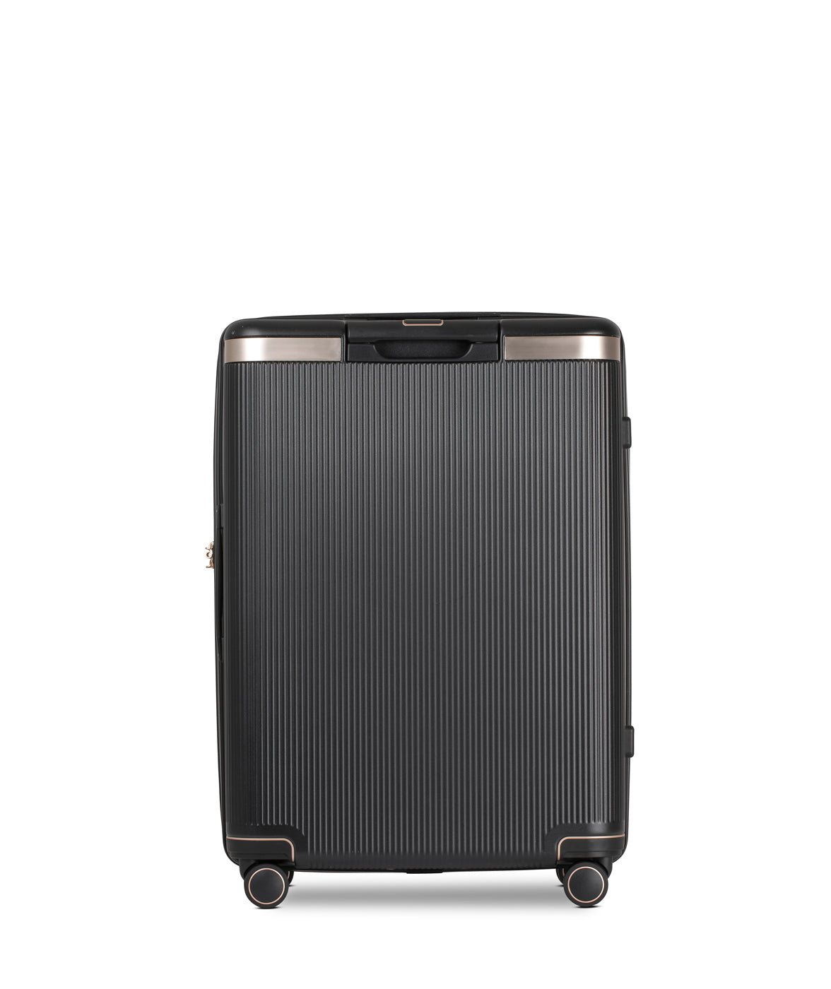 Echolac Dynasty Suitcase, Medium 67 cm, Black von Hinten 